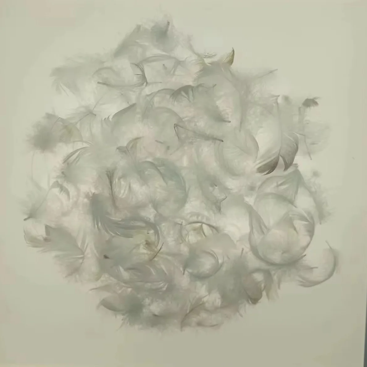 2-4 см белые гусиные перья вымытые изделия для рукоделия