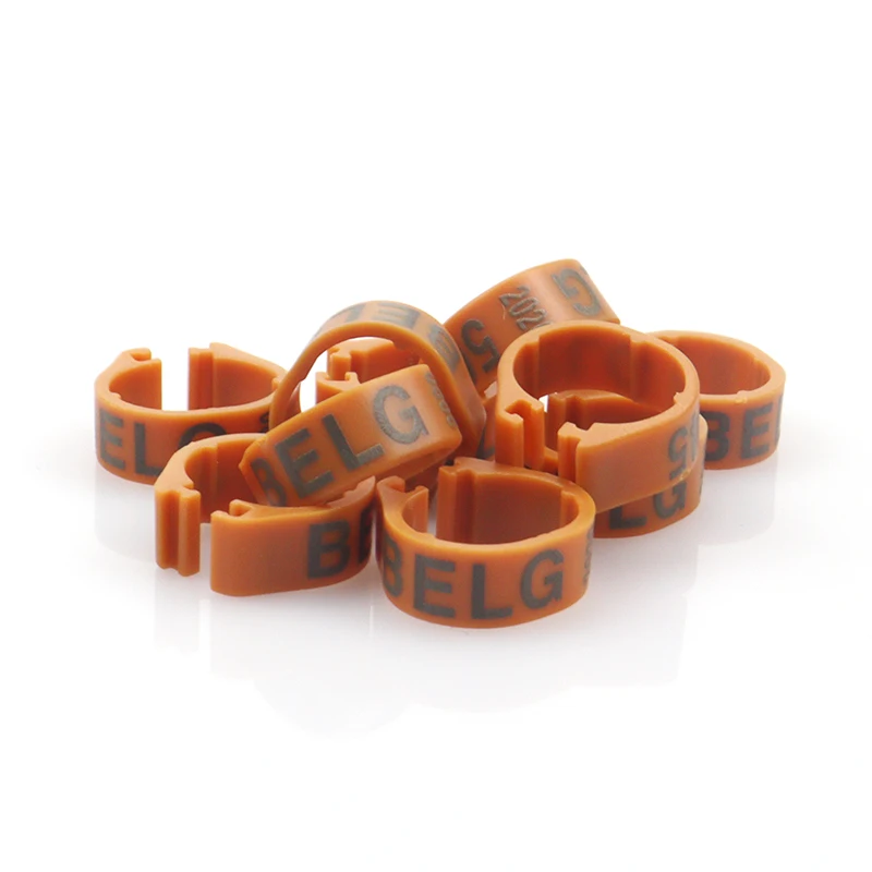 bague oiseau 2023 new custom bird leg band ring 100pcs plastic rings bird training 300pcs 1000pcs plastic ring for birds24 mm