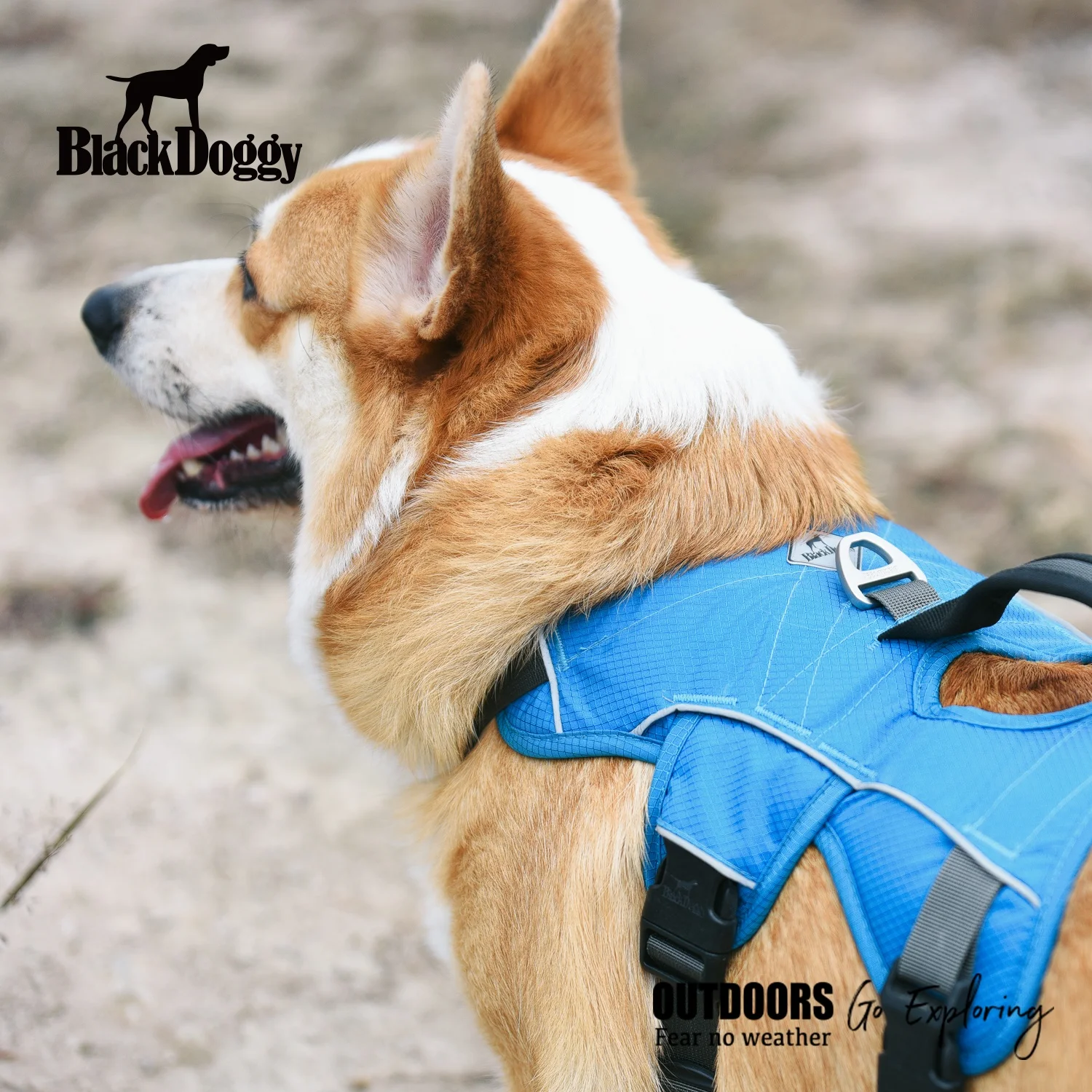 BlackDoggy Breathable Dog Tactical Harness Pet Hunting Protective Vest