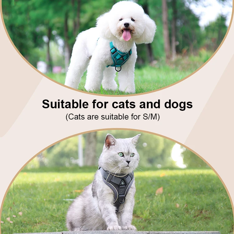 Wholesale Reflective Safe Lightweight Durable Adjustable Breathable Escape Proof Pet Dog Cat Harness And Leash Set For Walking
