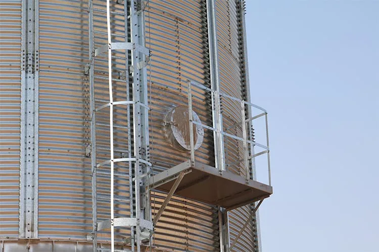 600T Capacity 1000m3 Grain Storage Steel Soybean Silo