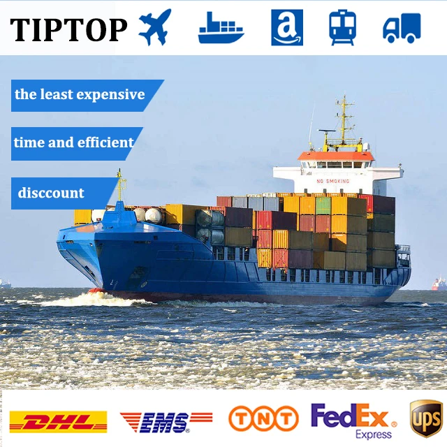 Cheapest Sea Shipping Agent From China To Canada / USA / UK / UAE / Spain Cargo Shipping Service