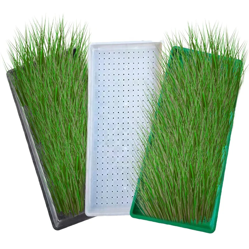60*25*3.5cm Garden Seedling Starter Tray Plastic Propagator Insert Garden Plant Seedling Propagation Tray