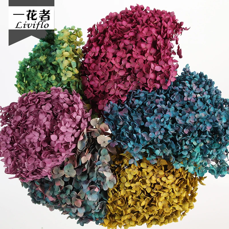 DIY Material Immortal Preserved Fresh Anna hydrangea Flower the Colorful Forever Lasting hydrangea With branches