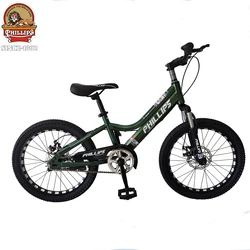Hot sales philips brand 20inch 2 wheels kids cycle model children bicycle cool boy MTB style child bike