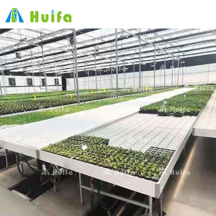 Customized greenhouse ebb and flow seed rolling bench hydroponic grow bed tray table systems rolling benches