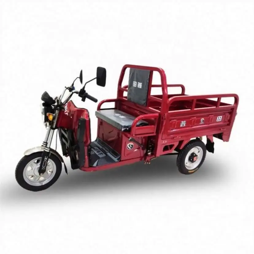 Large Supply SKD Trike Bic Gold Wing Tyep With Great Price