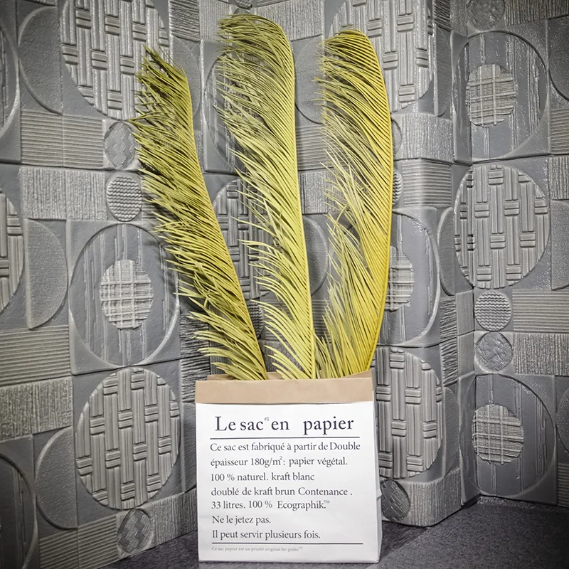 Extra Tall Over 3ft Decorative Flowers Cycas Revoluta Preserved Natural Dried Sago Palm Leaves for Floral Arrangements