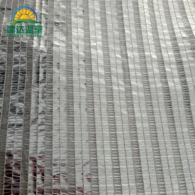 Aluminium Foil/Aluminet Traditional Greenhouse Shading Net