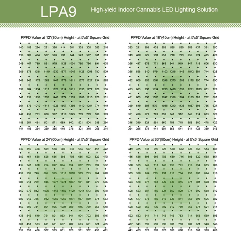 Xsylighting Commercial Horticulture 1000w Led Grow Light 1000 Watt 600W 640W 700W 720W 800W Indoor Plants LED Grow Light Bar