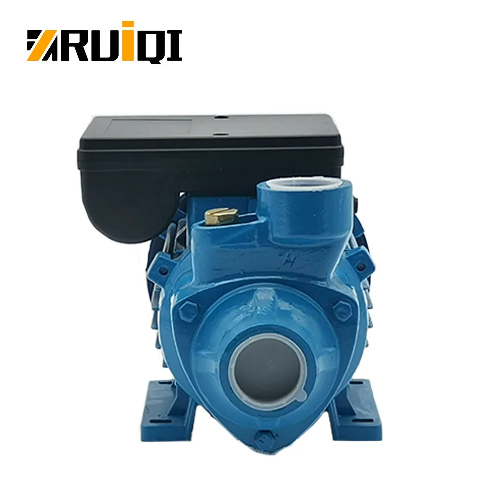 RUIQI IDB40 Water Pump 1/2HP High Flow/Head Pompa OEM Factory Price Peripheral Water Pump For House Bombas Pompe bomba de agua