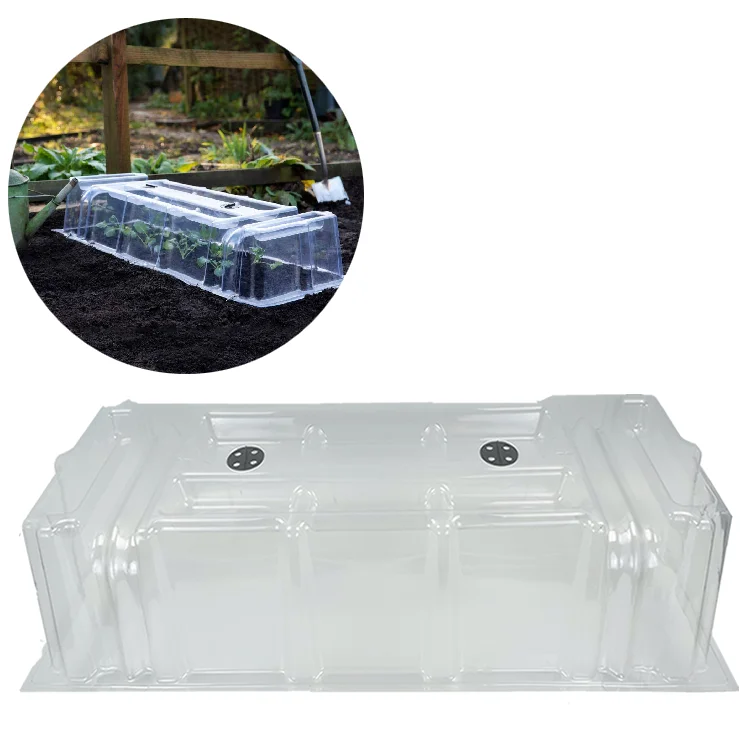 Transparent Mini Greenhouse Cloche PP PVC Outdoor Seeding Trays for Plant Propagation Seed Starting & Seedling