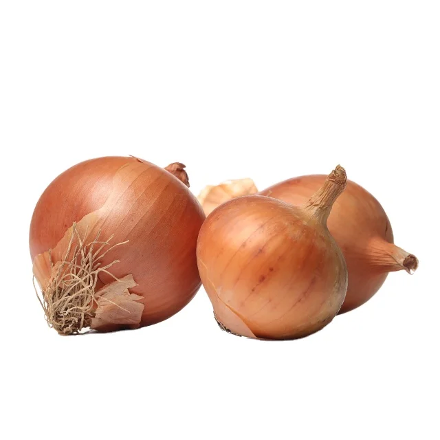 Wholesale Fresh Red Yellow White Onion Turkey Origin Wholesale Nutritional Bulk Onion Onion Vegetables  AGROWELL TURKISHGOODS