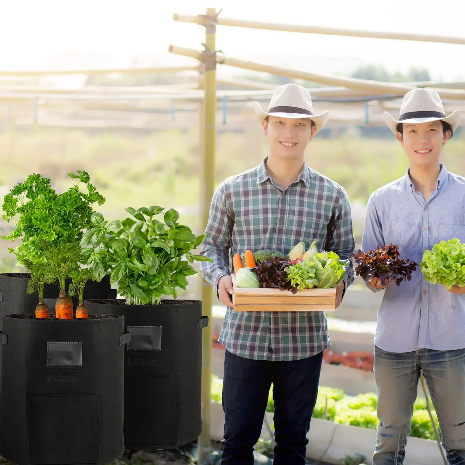 Heavy Duty Gardening Household Flower Planting 2 Gallon Bags For Plants