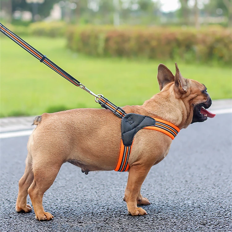 Custom Reflective Luxury Adjustable No Pull Soft Air Mesh Walking 3M Pet Dog Harness Cheap mesh harness