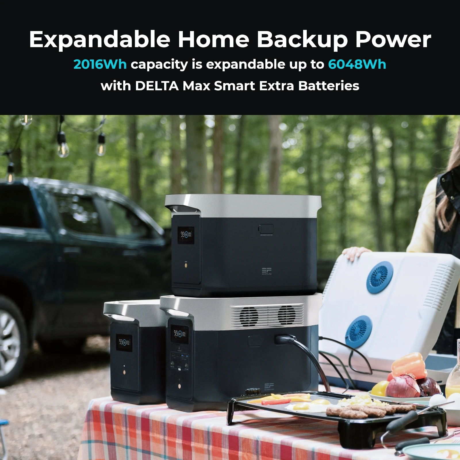 DELTA Max 2400 Вт Ecoflow