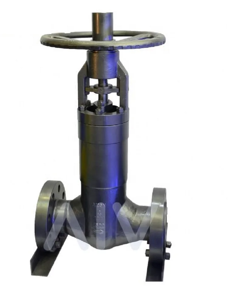  High Quality Wenzhou Manufacturer AIV Double Seal Design A105N F304 F316 Forged Steel Bellow Globe