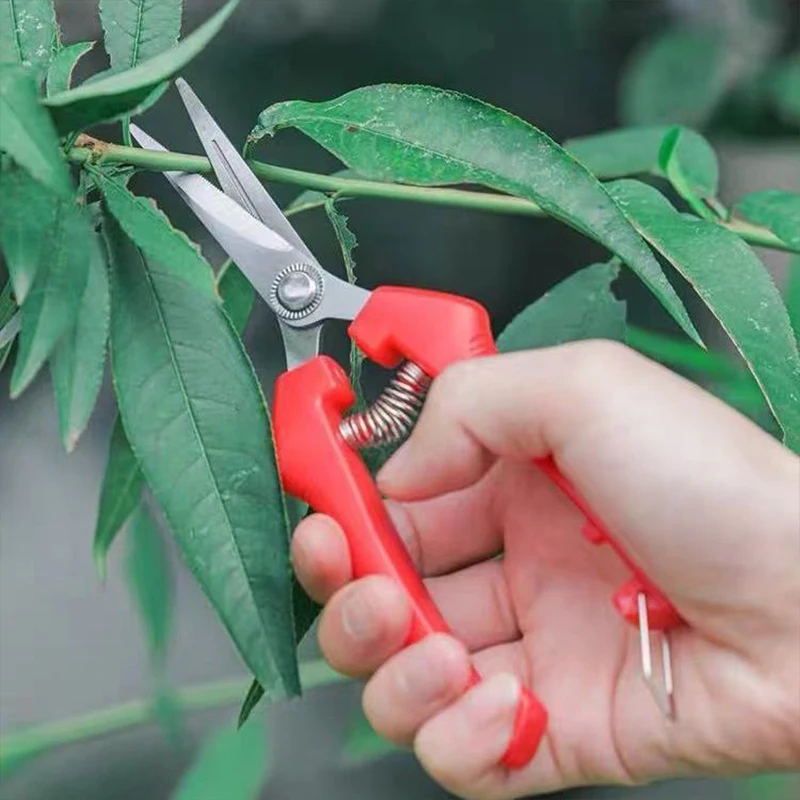 pruner garden scissors manual pruning shears branch pruning shears scissors for pruning flowers