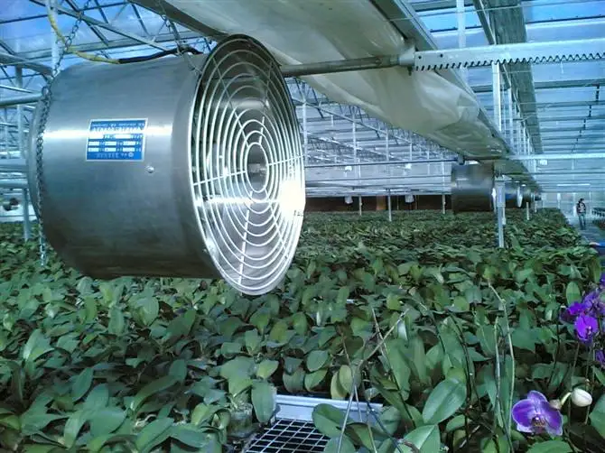 Good Quality Commercial Greenhouse Air Circulation Fans For Air Flow Circulation