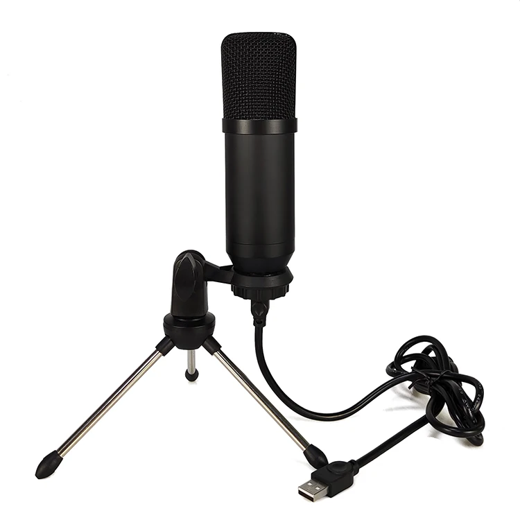 Bm 700 Mic Home Computer Condenser Gaming Pc Mini USB MicrophonUsb Mute Microphone with ECHO and VOL Gain
