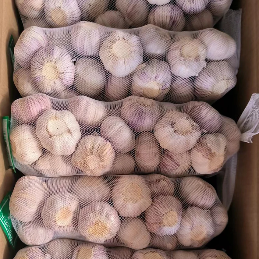 Normal White Garlic 6 0 Garlic Mesh Packing For Health