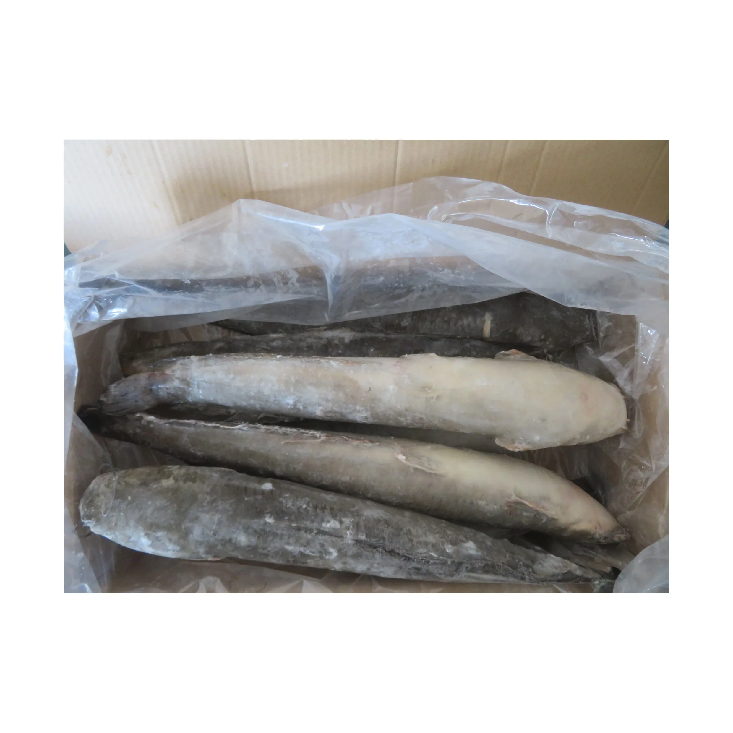 Stock Wholesale Ikan Fresh Catfish Export Smoked Catfish African Frozen Catfish