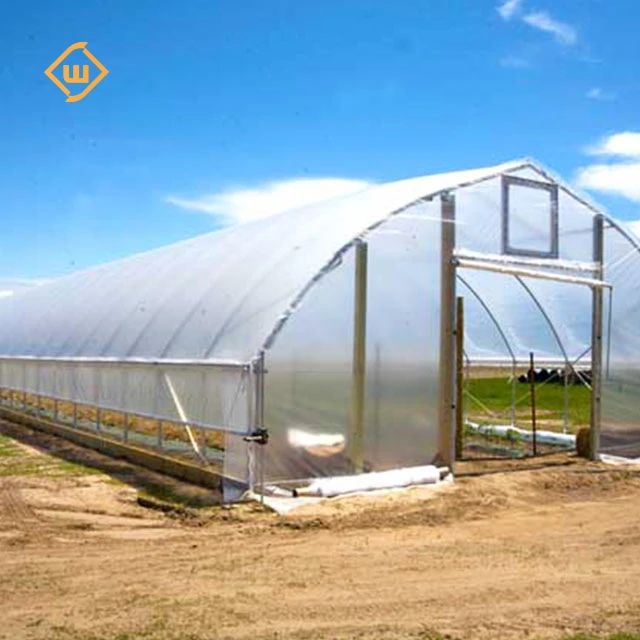 Agricultural Single Span Plastic Tunnel Greenhouse