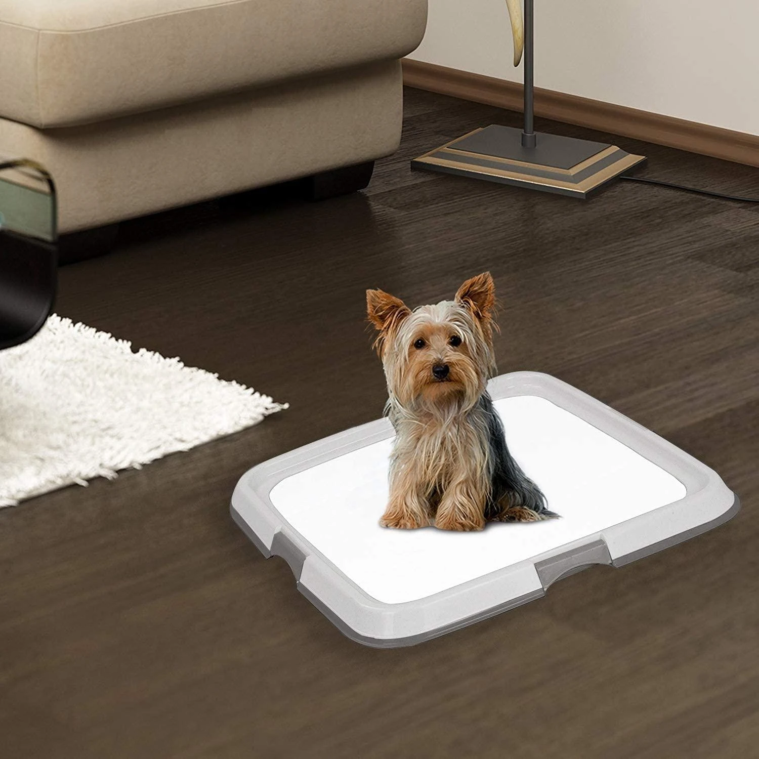 Pawise Wholesale Dog MeshToilet Potty Training Pee Pad Holder Portable Pet Dog Puppy Pee Pad Tray Holder For Small Dogs Indoor