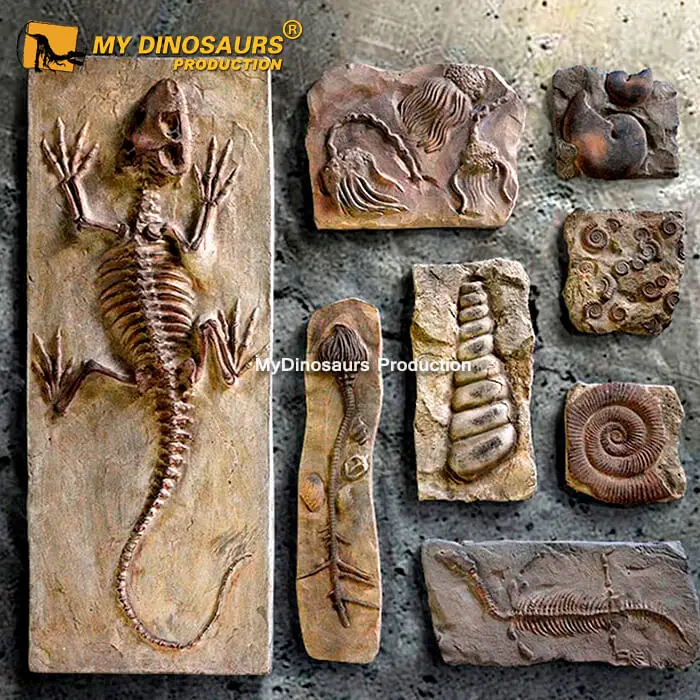 Z My Dino DS-043 торговый центр украшения скелет динозавра стеклопластиковый