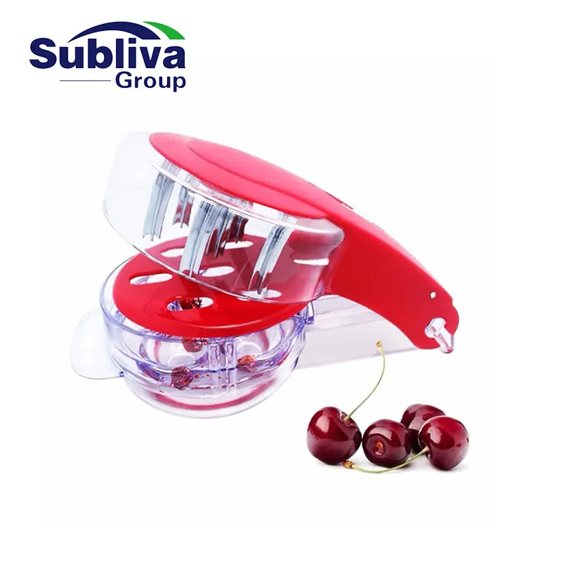 6 Head Olive & Cherry Pitter