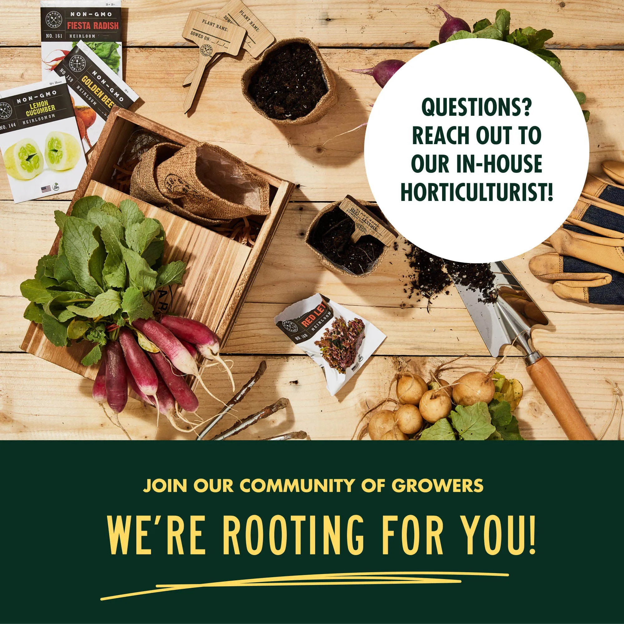 Radish Golden Beets Red Lettuce  Lemon Cucumber fruit and vegetable garden vegetable hydroponics grow cabinet herb starter kit