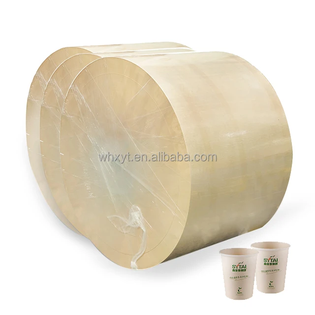 Wholesale 210gsm 260gsm 280gsm 300gsm PE coated bamboo paper cup raw material manufacturer