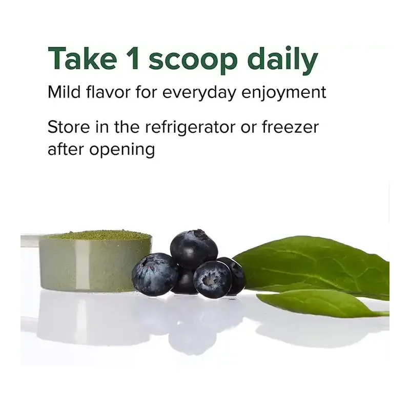 Free Sample Superfood Plus Superfood Green Protein Powder Organic mass gainer protein powder