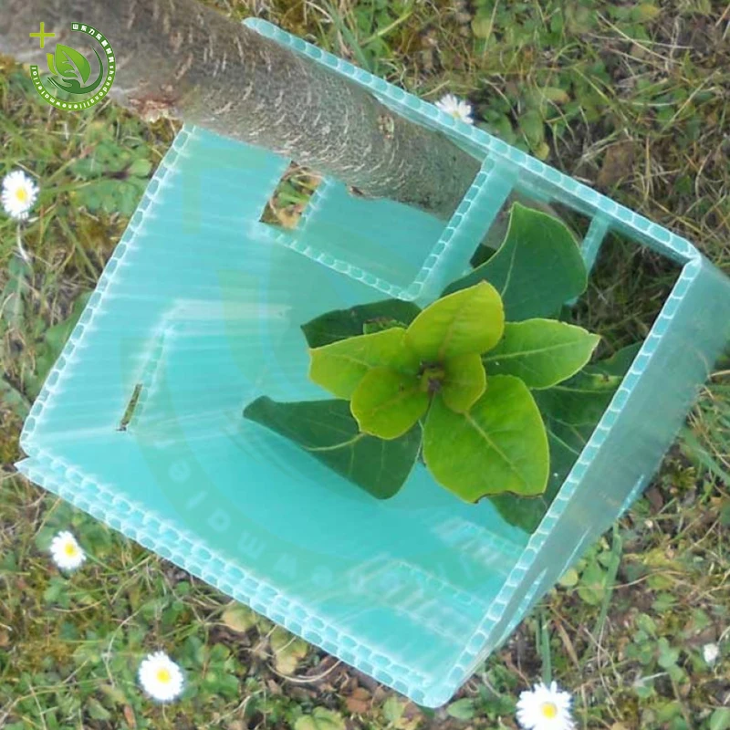 New Design Tree Guard Tree Trunk Protectorpp plastic sheet cutting board polypropylene sheets Uv Protection Seedling Protector