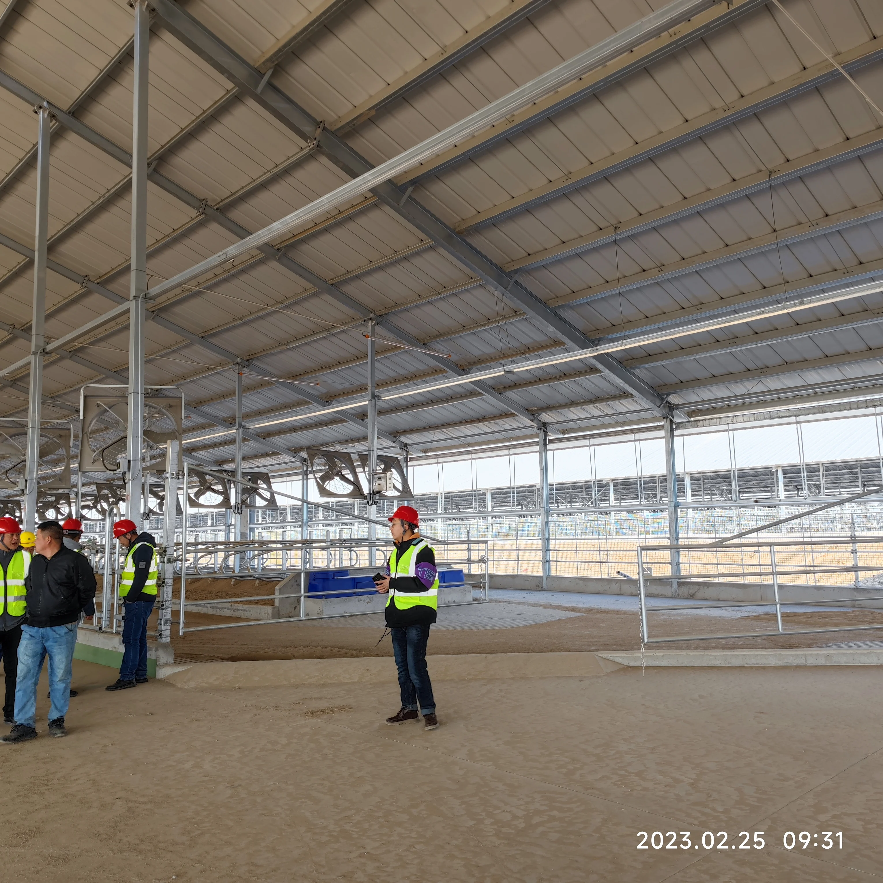 Steel farm house steel structure building for breeding horse goat cow