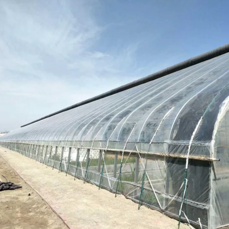 Solar power warm winter tunnel greenhouse
