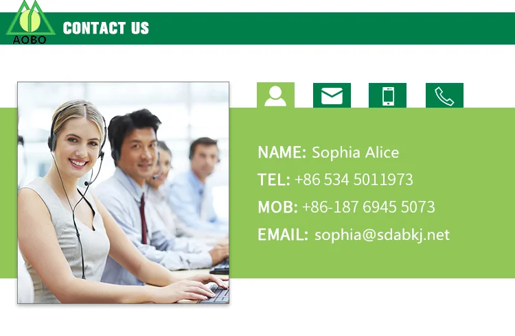 Sophia Name card.png
