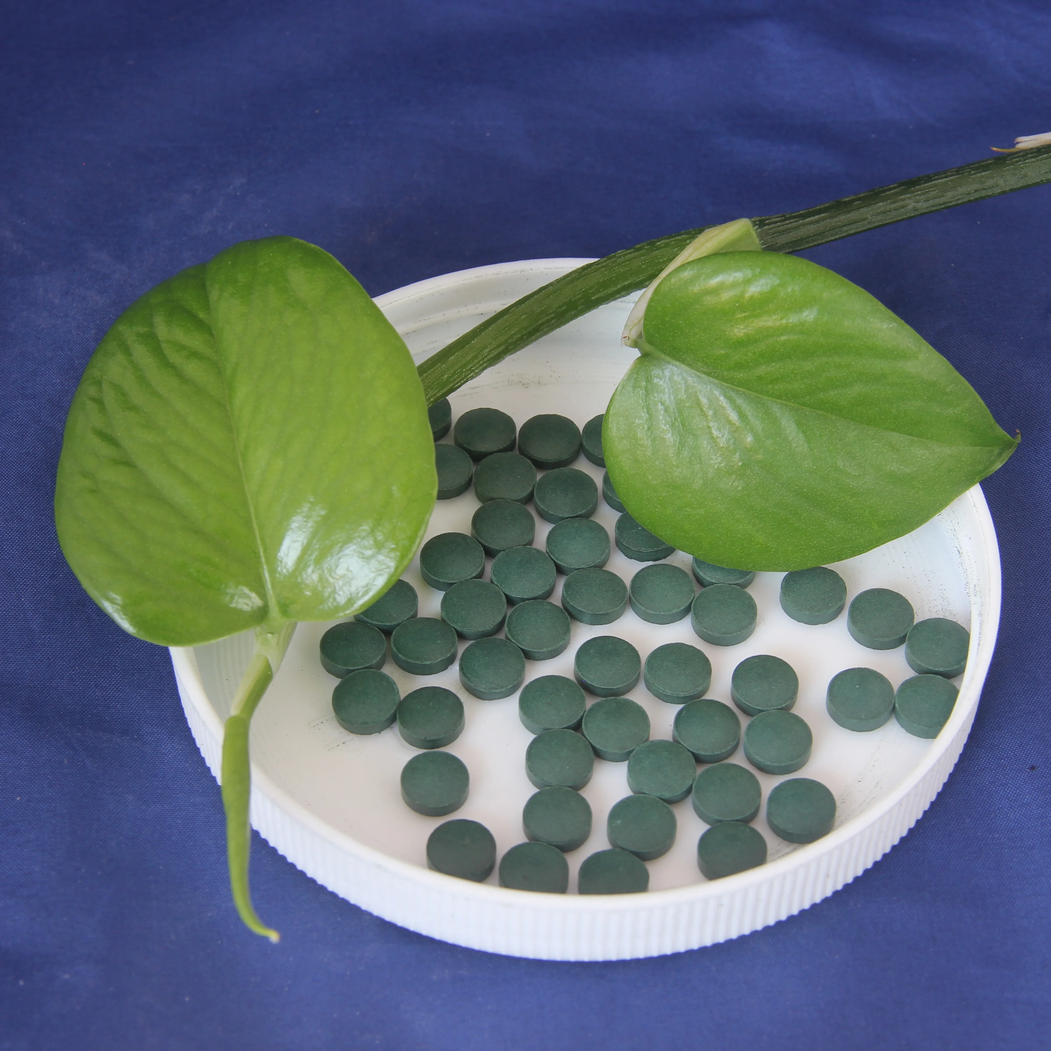 
GMP Certified Dietary supplements Nutrition Tablets Vitamin C 