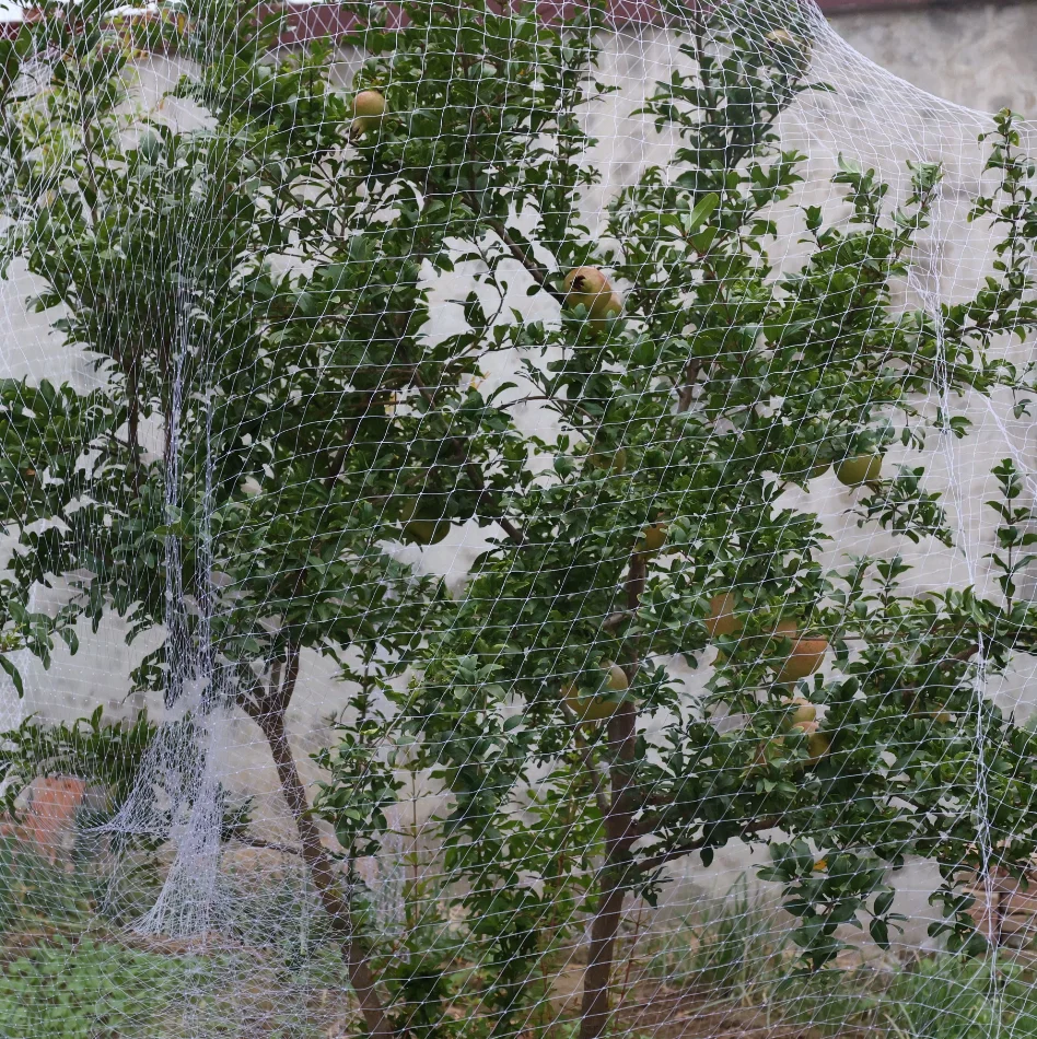 Hot Selling 100% PP Black White Green Anti-bird Agricultural Garden Plastic Bird Netting for Vegetable Farms