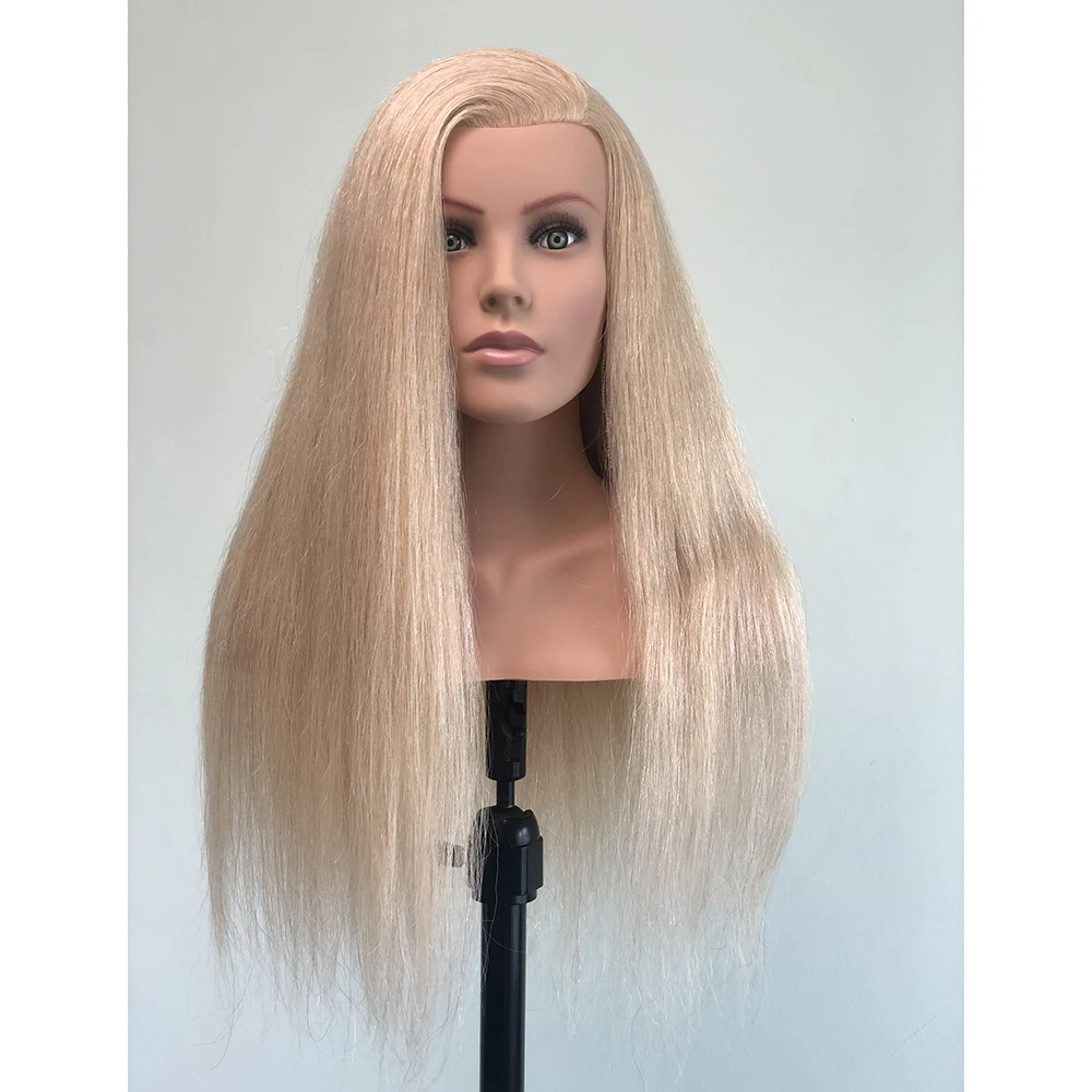 Wholesale price Europe face woman  hair training head   with full  shoulder for academy school