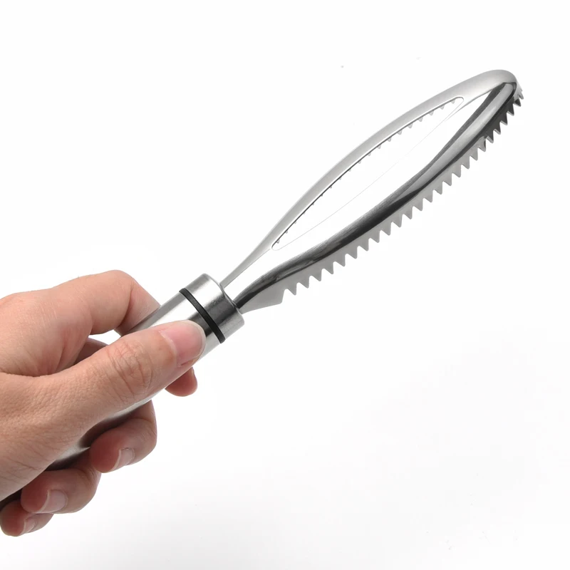 Stainless Steel Kitchen Gadget Fish Scraper With Born Tweezer Set Scaler Brush Fish Scale Remover