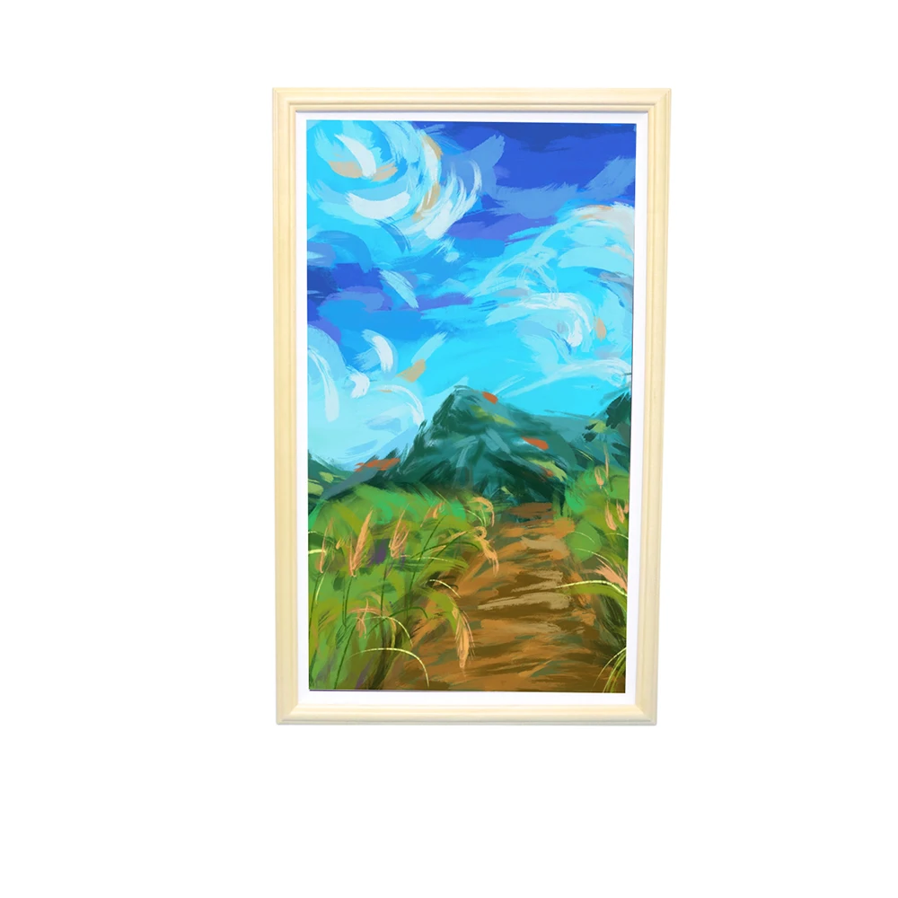 55inch Art Digital Poster Display