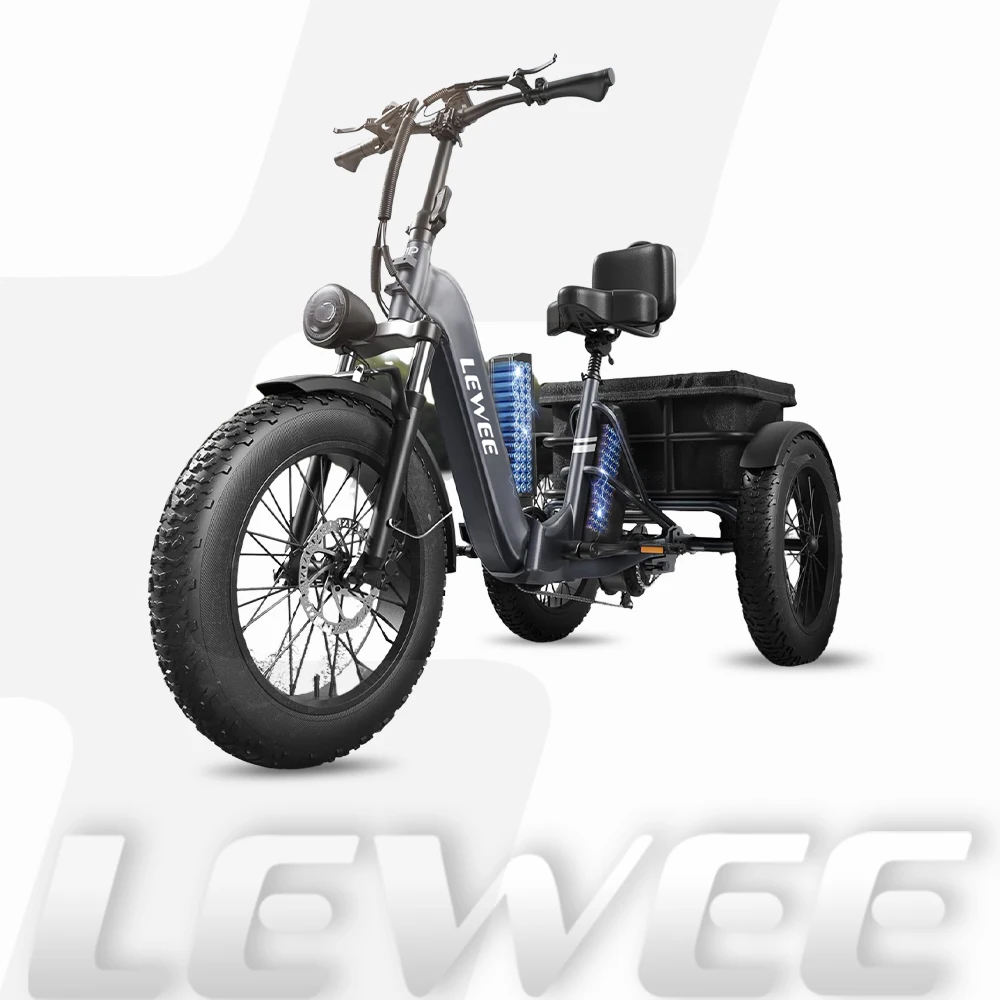 lewee Dual Battery Electric Tricycle with 110-Mile High Range, 750w Motor Pickup Class Trike, 500lb Load Capacity