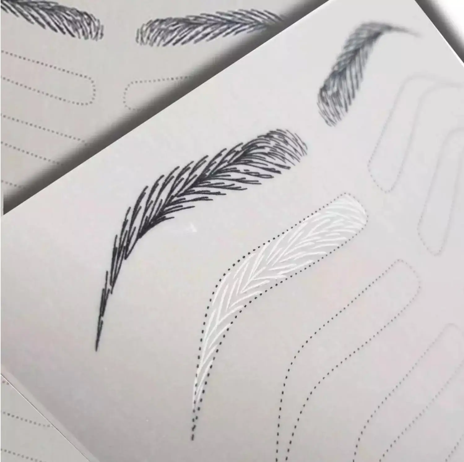 PMU BEAUTY Oem Permanent Makeup Microblading Latex Eyebrow Tattoo Practice Skin Without Ink For Training School