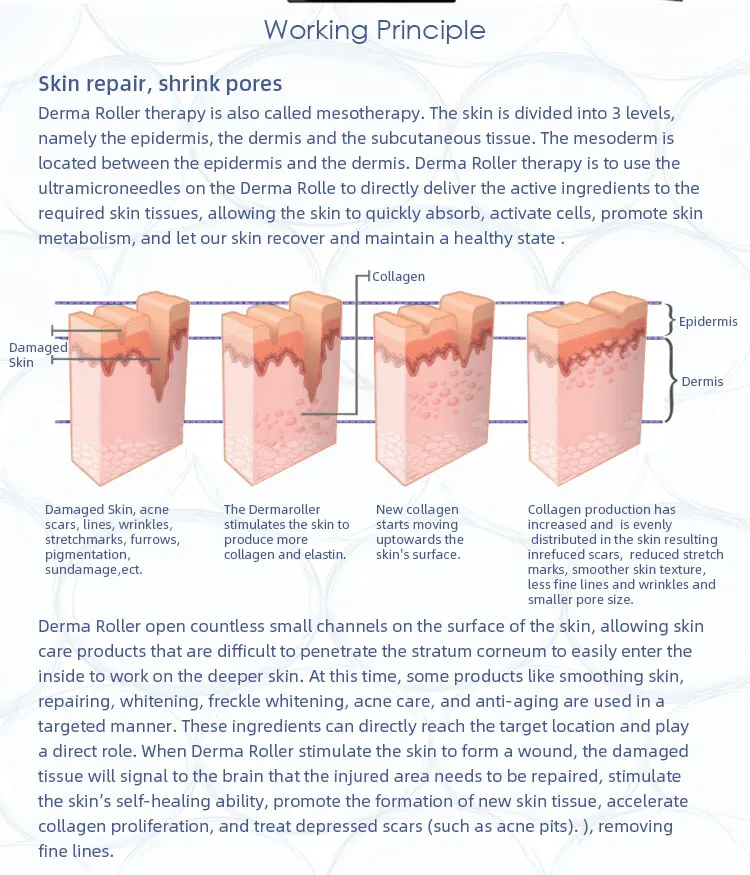 New arrival Derma Roller Skin Rejuvenation Facial Device Hair growth Machine