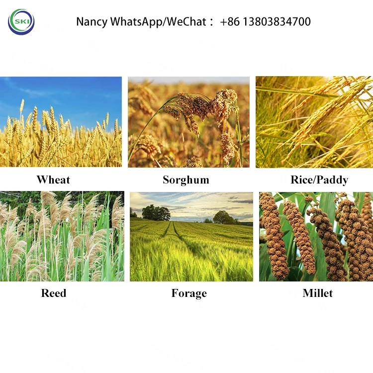 Combine Wheat Cutting Rice Harvester Harvesting Machine Mini Reaper Binder Machine Price Rice Reaper Machine In India