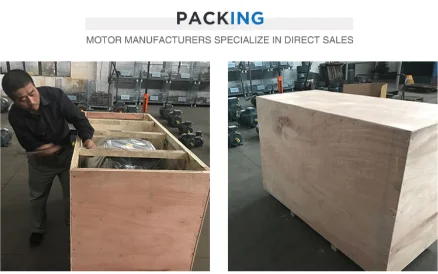 low rpm high torque  ac synchronous electric motor  1 hp 2ph