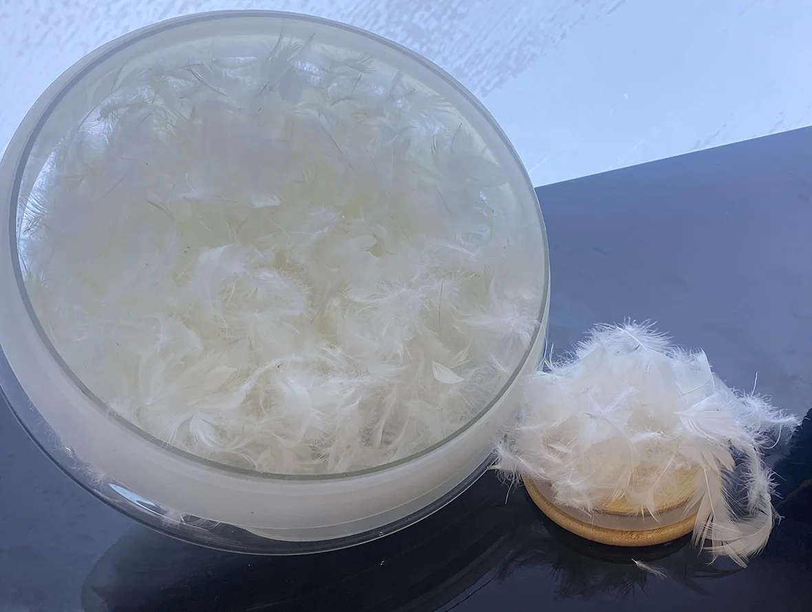 Factory direct sales 2-4cm90% white duck feather