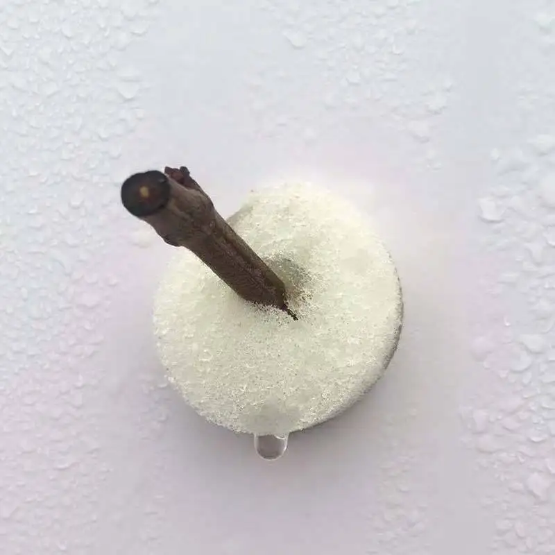 Soilless Culture Seeds Tray Hydroponic Planting Seeding Sponge 19mm Aeroponic Plant Seed Hydroponic Grow System Sponge