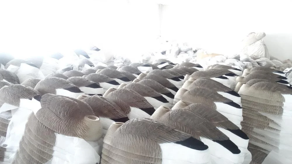 
Factory price plastic Canada goose Shell with flocked heads Hard as nails 
